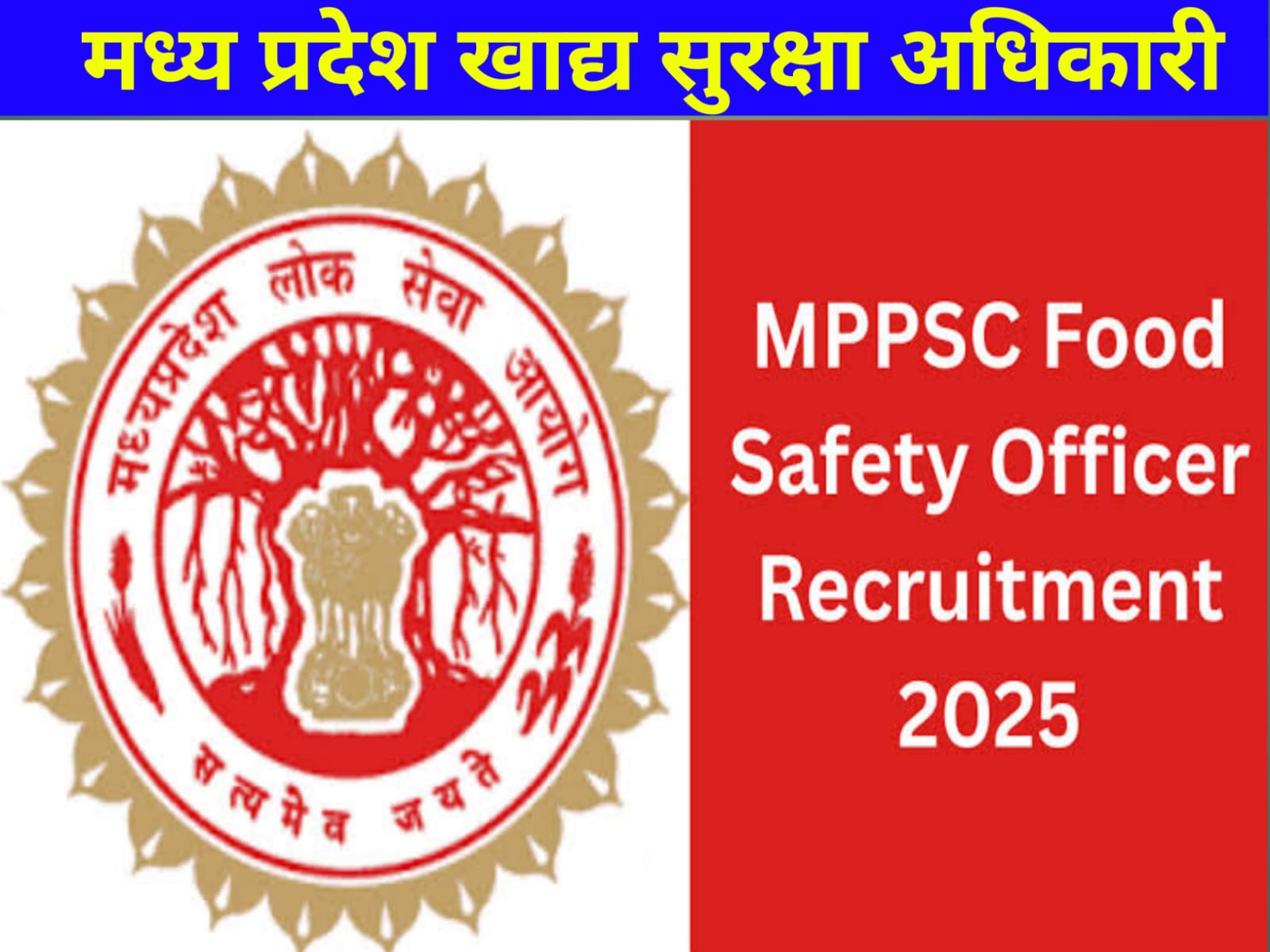 food security officer post