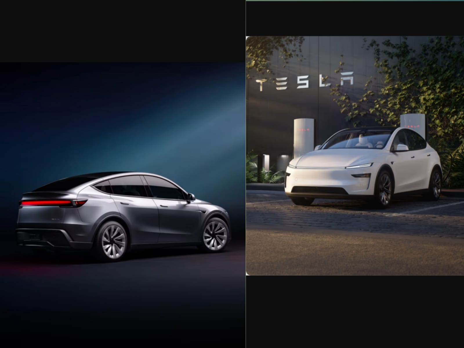 tesla model y color