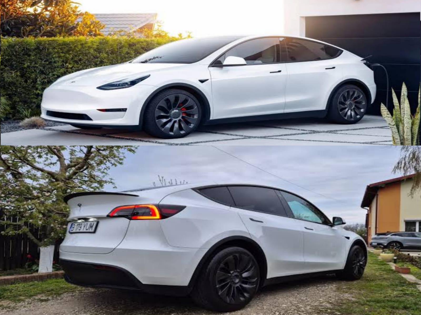 tersla model y design